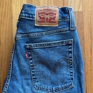 Levi’s Wedgie Straight Jeans